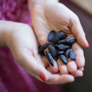 Бобы тонка - душистые семена из самых тропиков