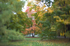 Московская осень