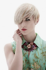 Асимметричный боб 