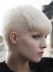 Женские стрижки фото